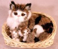 /album/animali-in-pelo/a907162-jpg/